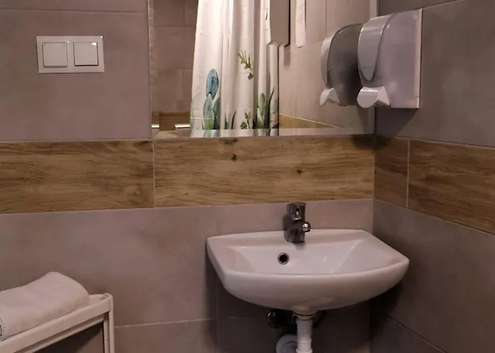 Apartment Bracka 4 *